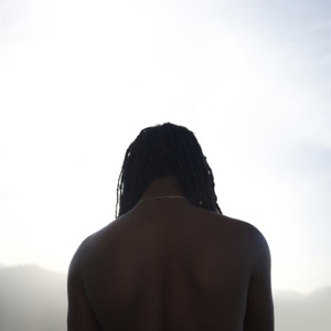 Fields (feat. Qyor)