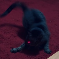 On Edge (feat. Milli O) - Single - Calman