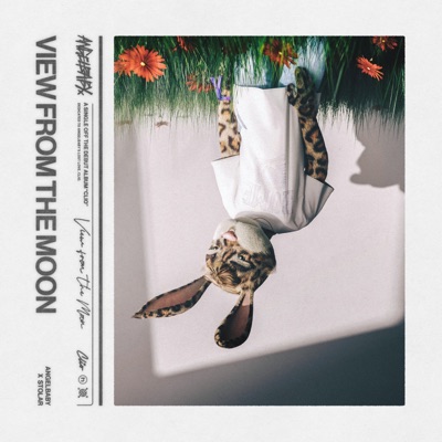 view from the moon - Single