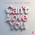 Can't Love You