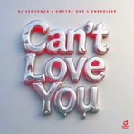 Can't Love You - Single