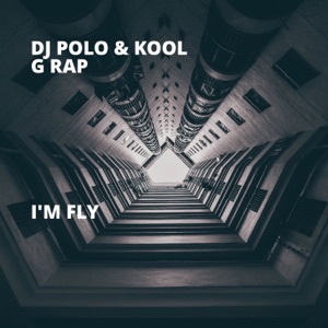 I'm Fly - Single