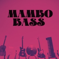 MAMBO BASS (BASSED) - Single - JAVISH BEATS