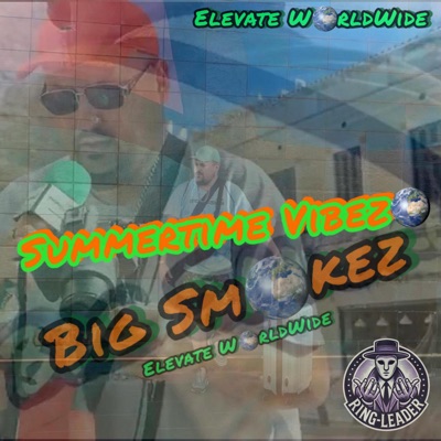 Summertime Vibez - Single