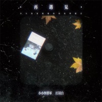 再遇见 (多大的前程值得把四季错过) - Single - 小小怪下士 & 江以白