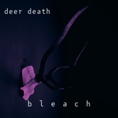 Bleach (feat. richmnkey) artwork