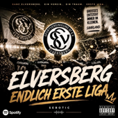 Elversberg Endlich Erste Liga