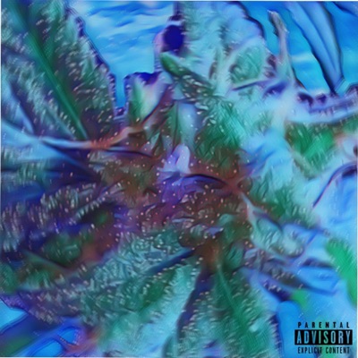 Smokin Tokin - Single