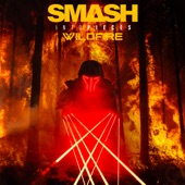 Wildfire artwork