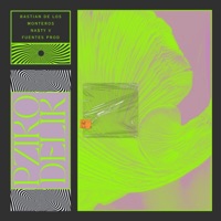 Pzikodelik (feat. Na$ty V) - Single - Bastian de los Monteros & Fuentes Prod