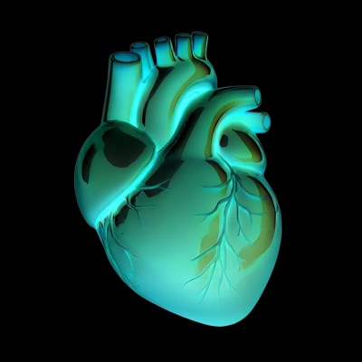 Black Heart (feat. Rooshah) - Single