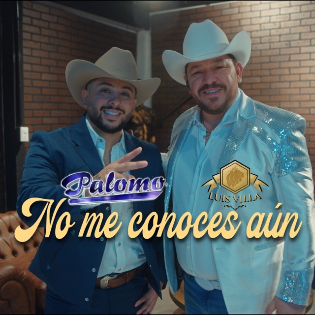 No Me Conoces Aún - Single