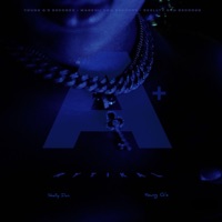 A+ - Single - Rytikal, SKELLY DAN & Young G's