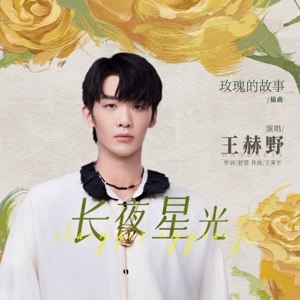 长夜星光 (电视剧《玫瑰的故事》插曲) - Single