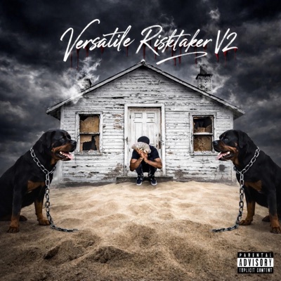 Versatile Risktaker V2