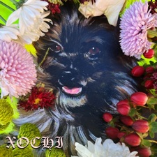 Tropa Magica - Xochi