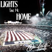Lights Take Me Home - Single - David Nolf