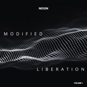 MODIFIED LIBERATION