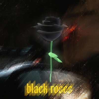 BLACK ROSES