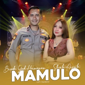 Chord Gitar Mamulo - Shinta Arsinta ft. Bripda Yudi Hermawan