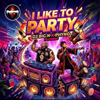 I Like to Party (feat. Phyno) - Single - DJ Big N