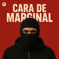 CARA DE MARGINAL (feat. FALA DORNELLES & DJ FELIPE SANTOS) - Single - DJ Fagner