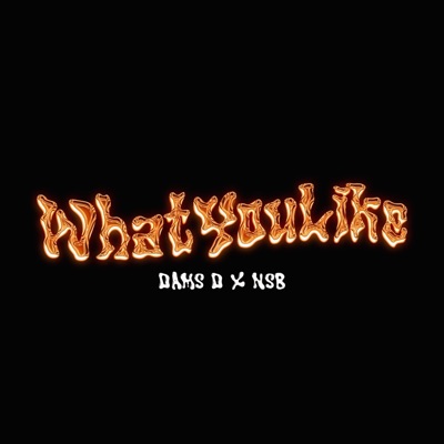 WhatYouLike (feat. NSB) - Single