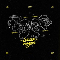 Luciernagas (feat. L'Xuasma, MC Ari, Chekde & Low Costa) - Single - Terxero