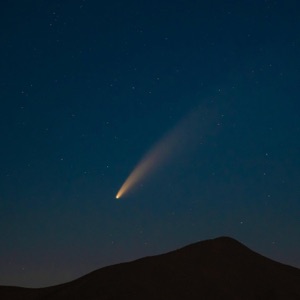 Halley's Comet