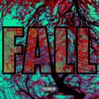 FALL - P3NN