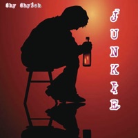 Junkie - Single - Shy Shyloh