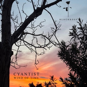 Wind of Time - Single