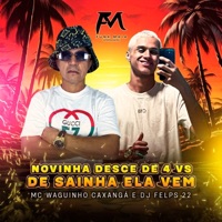 Novinha Desce de 4 Vs de Sainha Ela Vem - Single - Mc Waguinho Caxangá & DJ Felps 22
