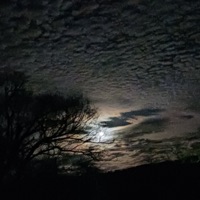 Problematic (feat. Rico Xyy) - Single - Sh_Reco