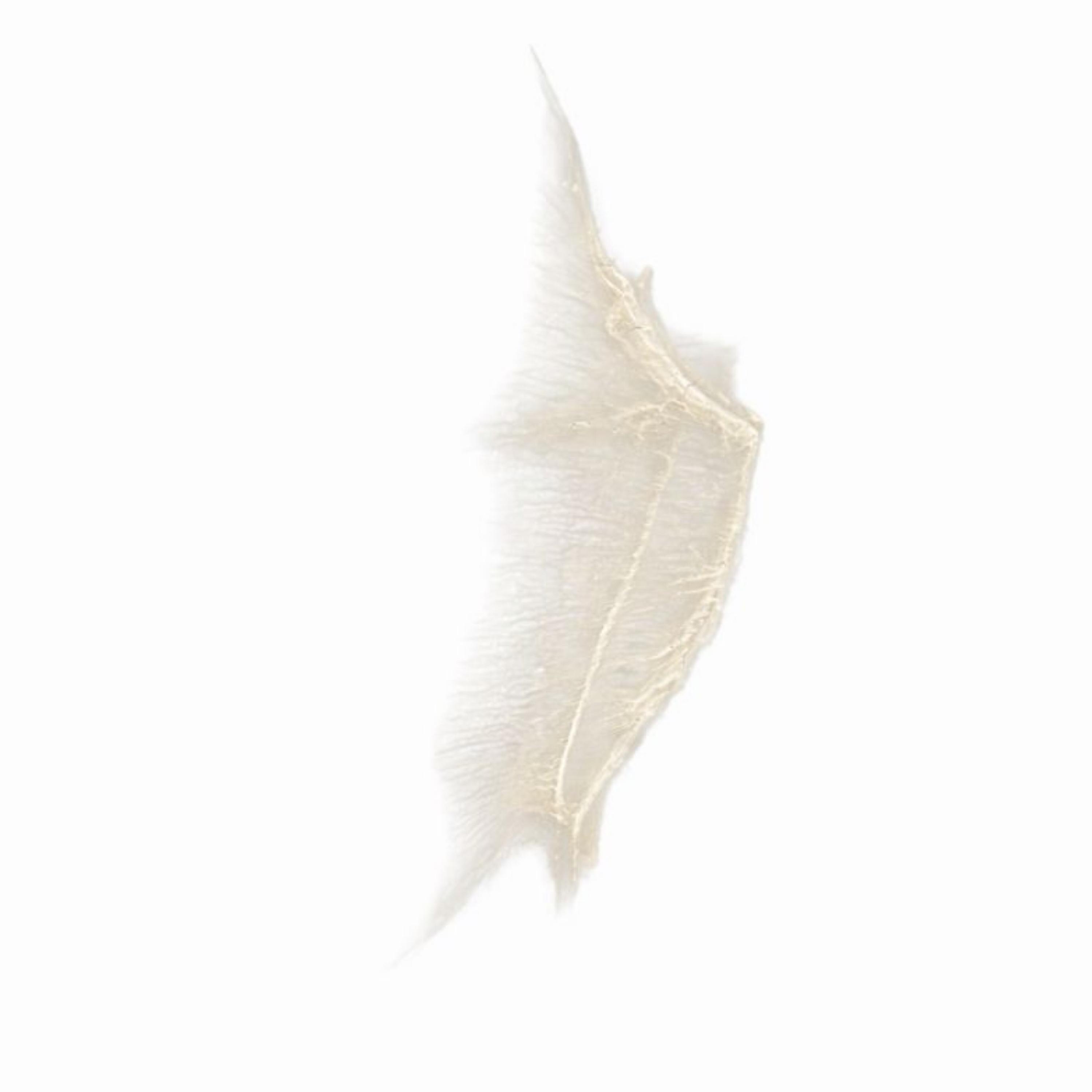 INFINItELY : BUt DIFFERENtLY - EP