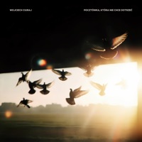 Pocztówka, która nie chce dotrzeć (Radio Edit) - Single - Wojciech Ciuraj