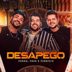 Desapego (Ao Vivo) - Single