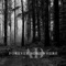 Forever somewhere - Afternoon Desires lyrics