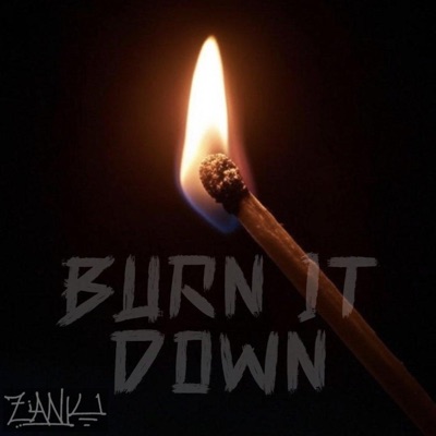 Burn It Down - Single