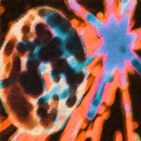 New Born - Single - Redzol