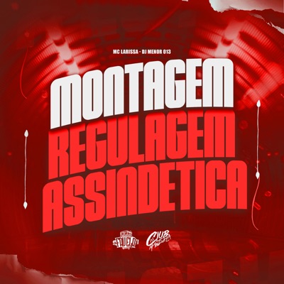 Montagem Regulagem Assindética (feat. Mc Larissa) - Single