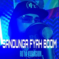Sandunga Fyahbom - Single - Ro La Vibración