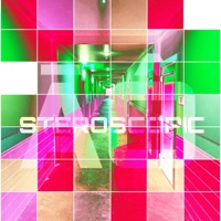 Stereoscopic - Single - Archer Official