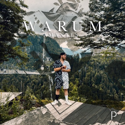 Warum - Single