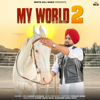 My World 2 - Raman Lakhesar