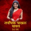 Rapchik Pakharu Gaval (DJ Sr) - Single