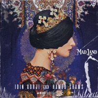 Madland - Single - Idin Gorji & Hamed Shams