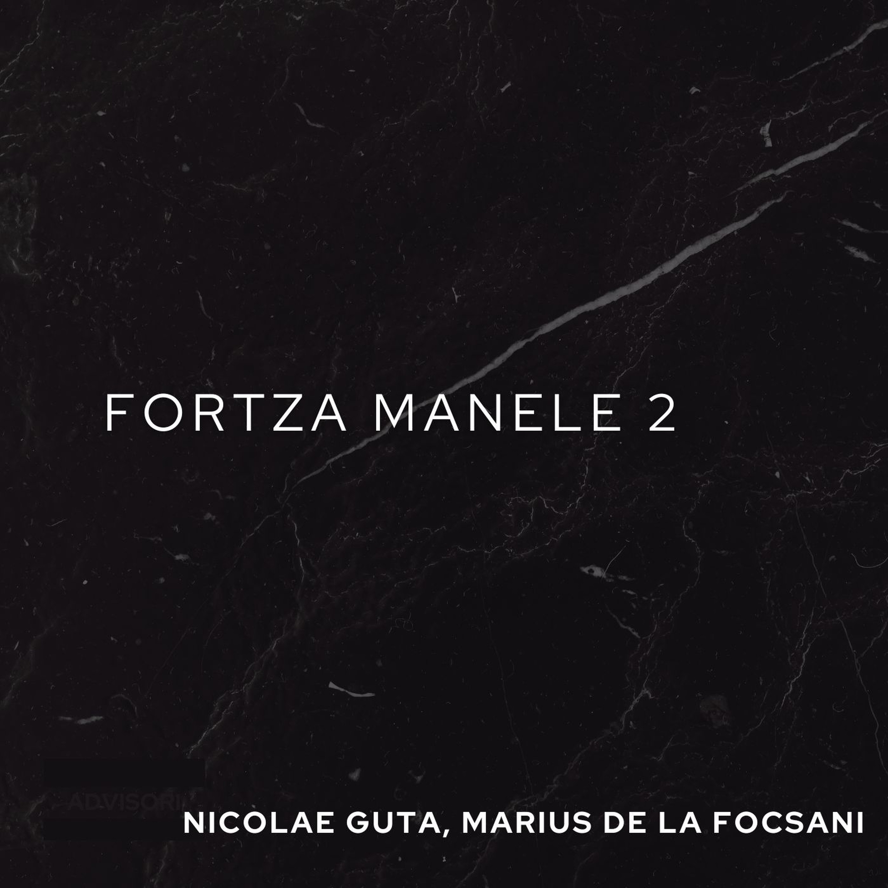 Fortza Manele 2