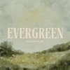 Evergreen