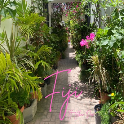 Fiji (feat. YBNN Dae) - Single